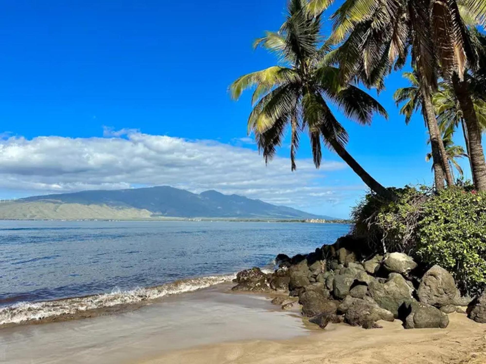 3Mins Walk To Beach! Laundry, Pool, Hot Tub & More Kihei Exterior photo